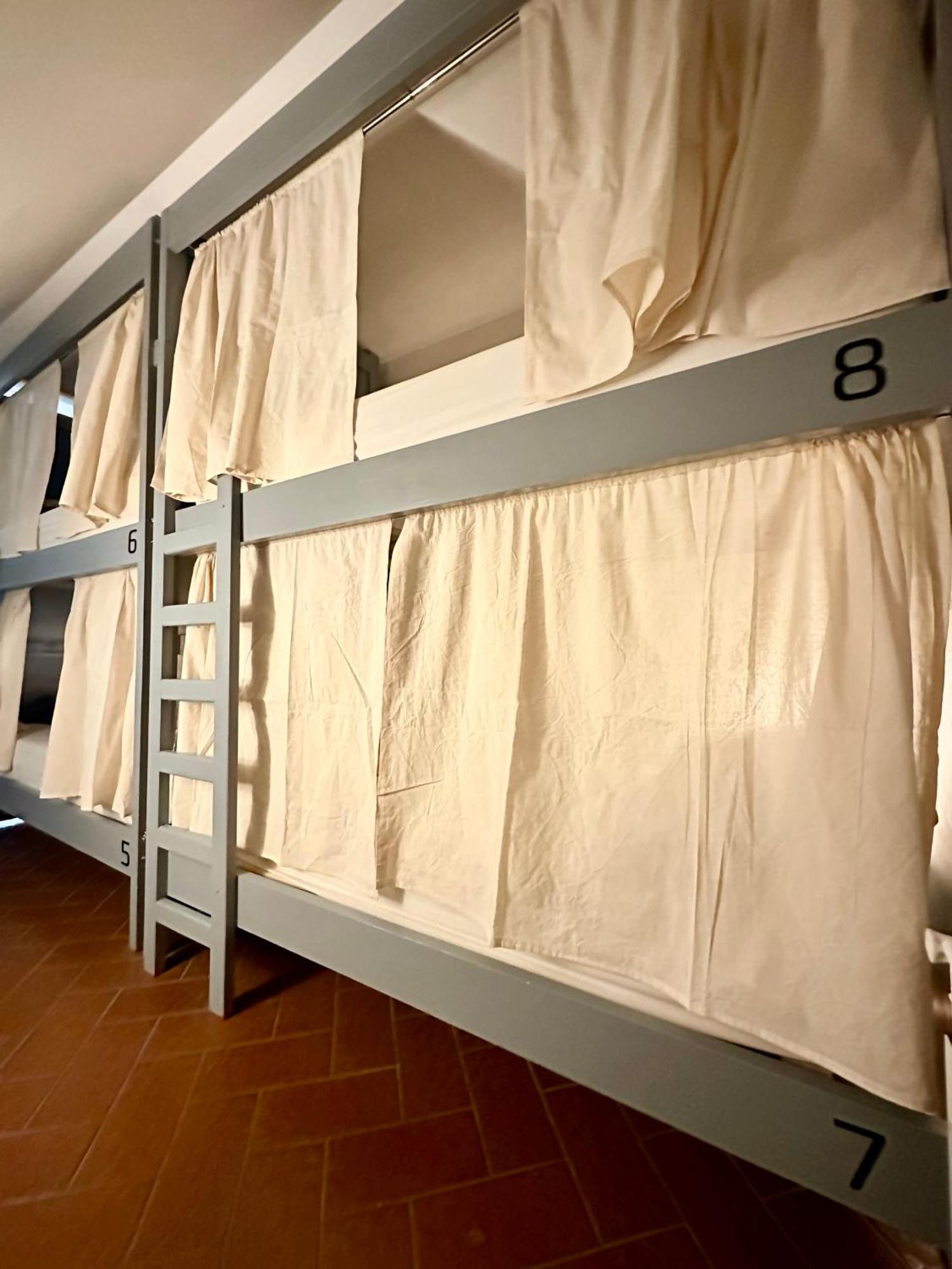 Gorilla Hostel Мендоса Стая снимка
